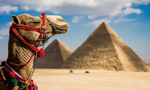 Sharm El Sheikh Culture Tours