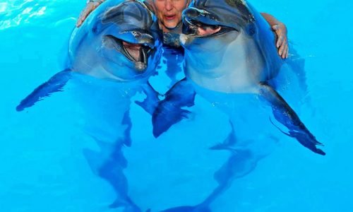 Tour di intrattenimento di Sharm El Sheikh